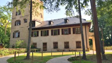 Tour du Scholessel, Strasbourg