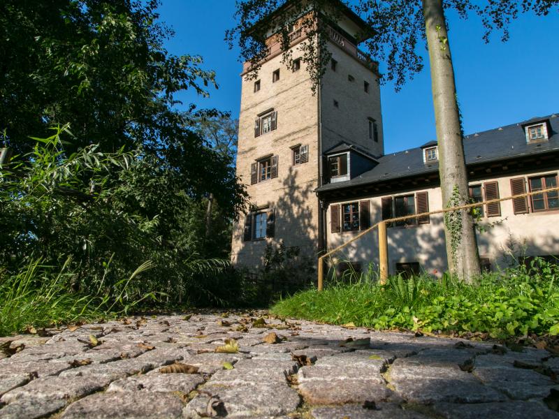 Tour du Scholessel, Strasbourg